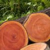 oplus_2097184 Original Mahogany Wood Natural Chopping & Serving Board for Kitchen and Dining🌿