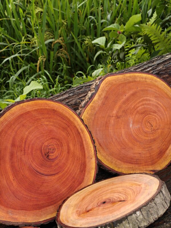 oplus_2097184 Original Mahogany Wood Natural Chopping & Serving Board for Kitchen and Dining🌿